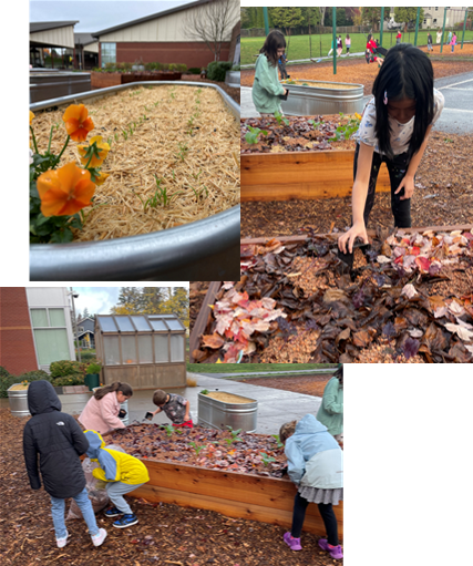 Kindness Garden 1 S1-300×290