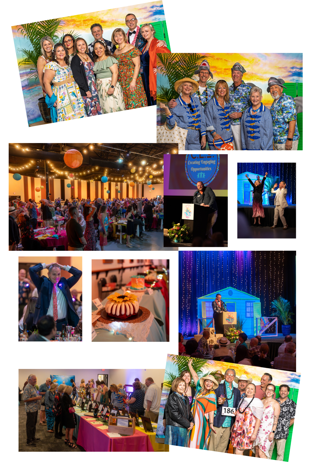 2026 Auction Photo Collage